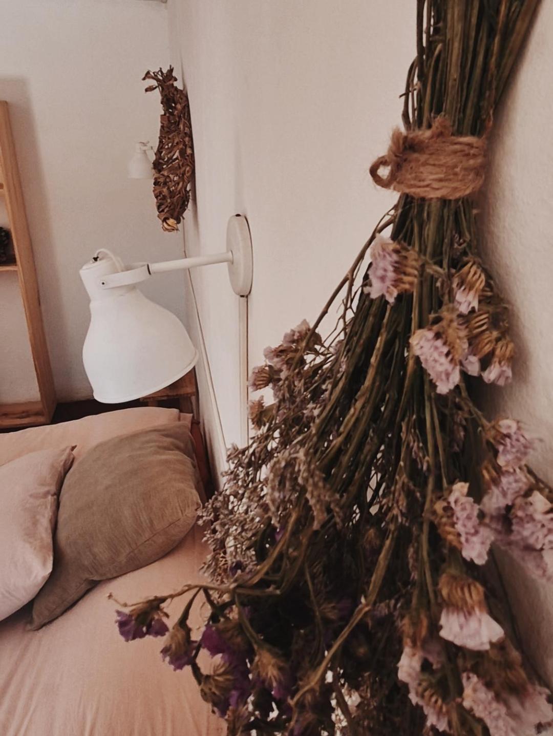 هوماهواكا Mestiza Hostal المظهر الخارجي الصورة