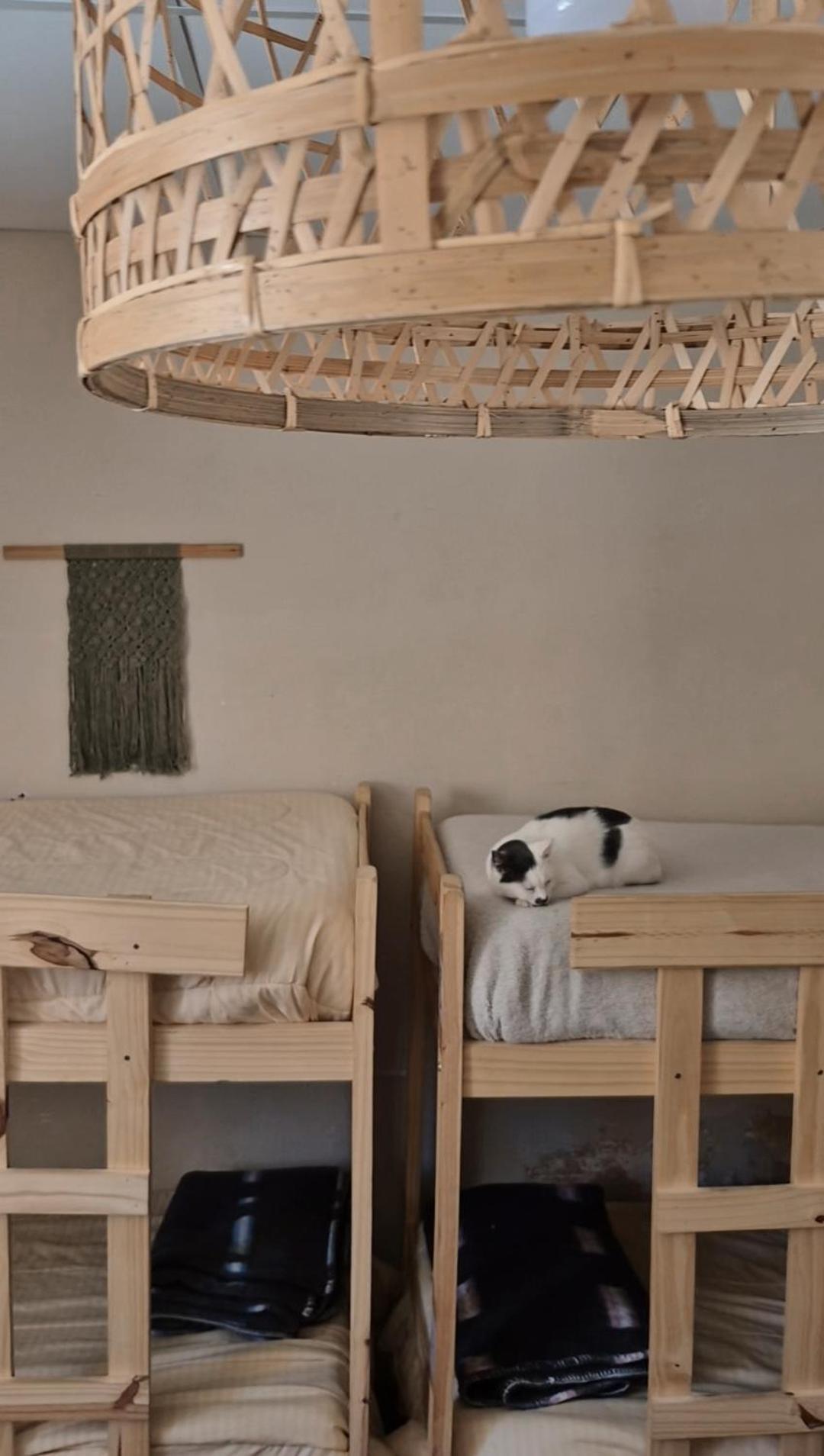 هوماهواكا Mestiza Hostal المظهر الخارجي الصورة